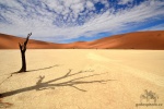 Dead Vlei,Namib desert/809